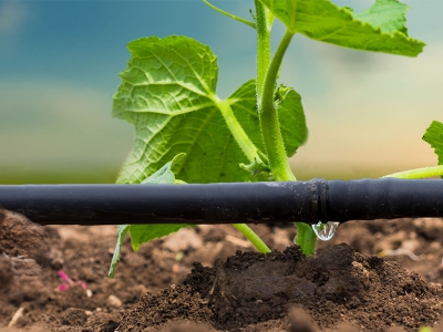 Drip Irrigation Systems