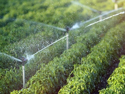 Sprinkler Irrigation